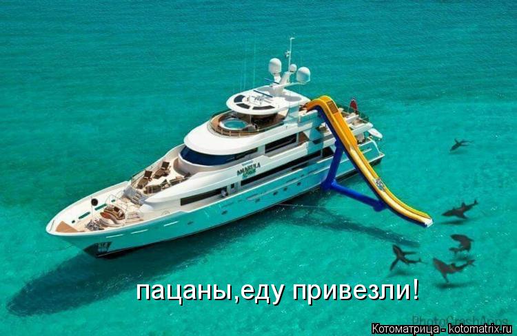 пацаны,еду привезли!... Котоматрица: пацаны,еду привезли!