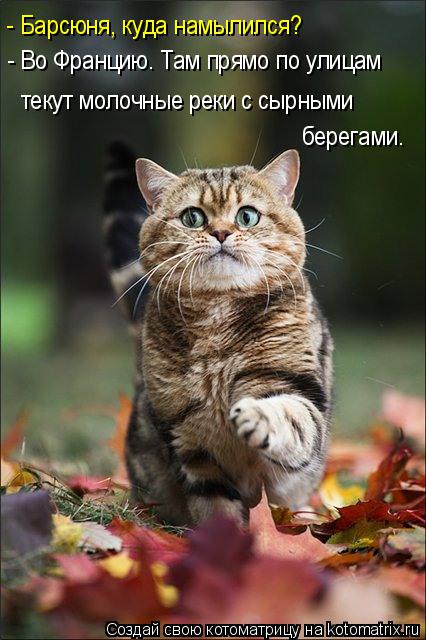 - Барсюня, куда намылился? - Во Францию. Там прямо по улицам текут молочные реки с сырными берегами.... Котоматрица: - Барсюня, куда намылился? - Во Францию. Там прямо по улицам текут молочные реки с сырными берегами.