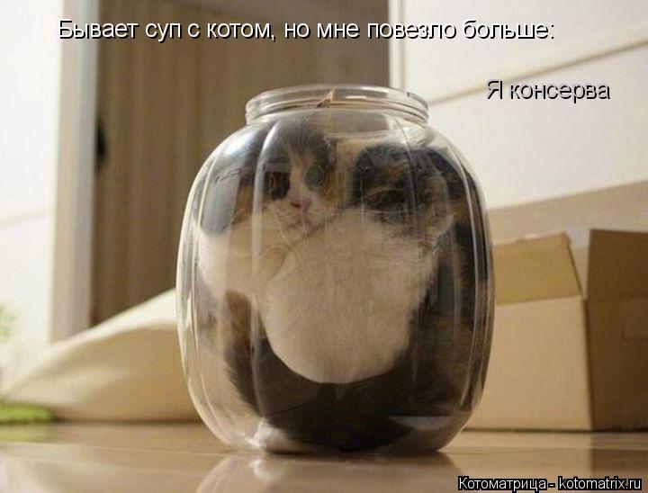 Котоматрица: Бывает суп с котом, но мне повезло больше: Я консерва