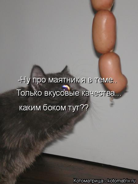 Котоматрица: -Ну про маятник я в теме.. Только вкусовые качества... каким боком тут??