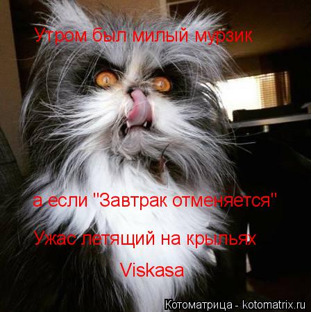 Котоматрица: Утром был милый мурзик а если "Завтрак отменяется" Ужас летящий на крыльях Viskasa