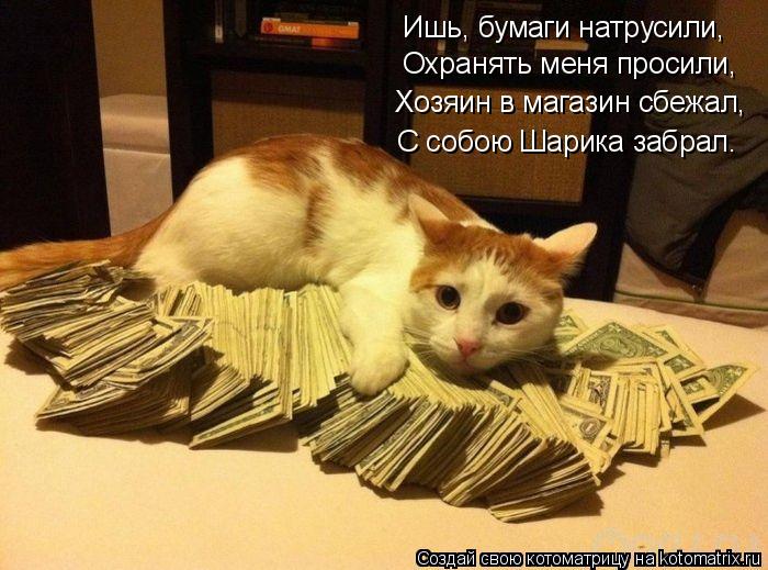 Ишь, бумаги натрусили, Охранять меня просили, Хозяин в магазин сбежал, С собою Шарика забрал.... Котоматрица: Ишь, бумаги натрусили, Охранять меня просили, Хозяин в магазин сбежал, С собою Шарика забрал.