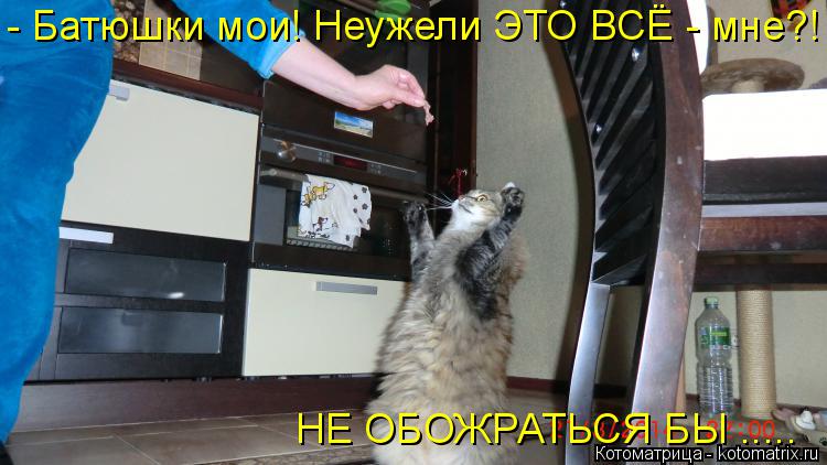 Котоматрица: НЕ ОБОЖРАТЬСЯ БЫ ..... - Батюшки мои! Неужели ЭТО ВСЁ - мне?!