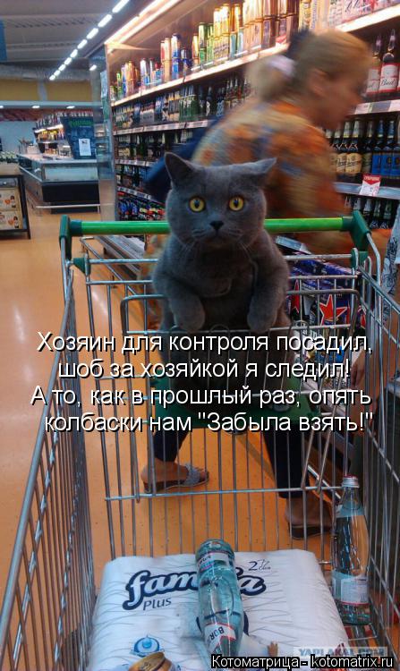 Котоматрица: Хозяин для контроля посадил,  шоб за хозяйкой я следил! А то, как в прошлый раз, опять  колбаски нам "Забыла взять!"