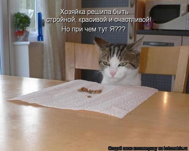 Котоматрица: Хозяйка решила быть  стройной, красивой и счастливой! Но при чем тут Я???