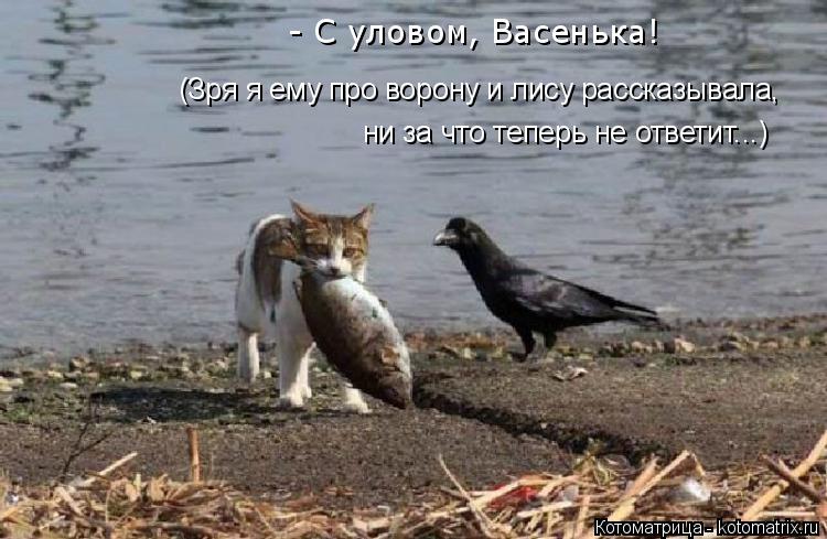 (Зря я ему про ворону и лису рассказывала, ни за что теперь не ответит...) - С уловом, Васенька!... Котоматрица: (Зря я ему про ворону и лису рассказывала, ни за что теперь не ответит...) - С уловом, Васенька!