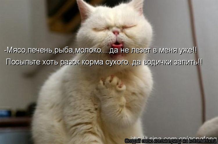 -Мясо,печень,рыба,молоко....да не лезет в меня уже!! Посыпьте хоть разок корма сухого..да водички зап... Котоматрица: -Мясо,печень,рыба,молоко....да не лезет в меня уже!! Посыпьте хоть разок корма сухого..да водички запить!!