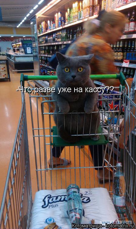 -Что,разве уже на кассу??... Котоматрица: -Что,разве уже на кассу??