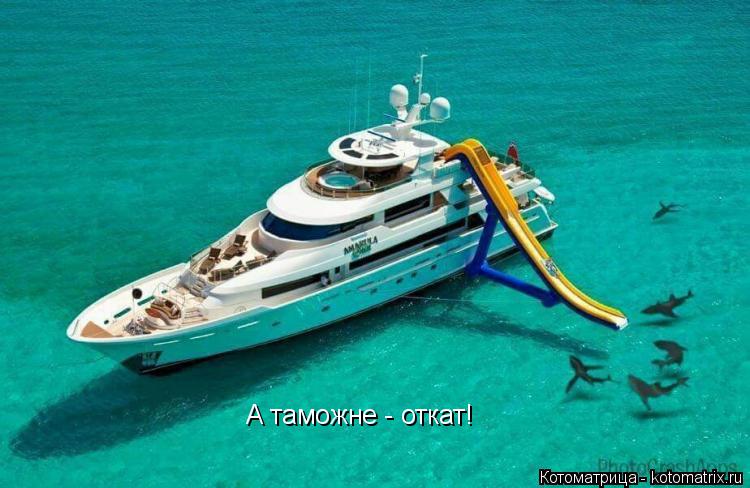А таможне - откат!... Котоматрица: А таможне - откат!