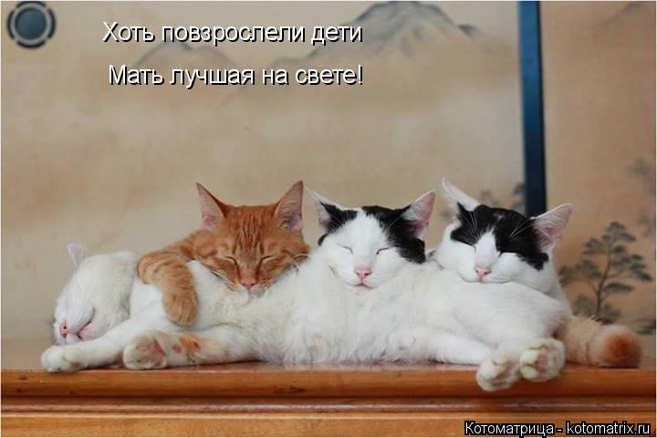 Хоть повзрослели дети Мать лучшая на свете!... Котоматрица: Хоть повзрослели дети Мать лучшая на свете!