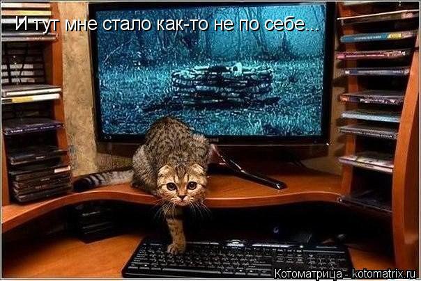 И тут мне стало как-то не по себе...... Котоматрица: И тут мне стало как-то не по себе...