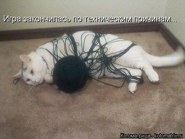 Игра закончилась по техническим причинам...... Котоматрица: Игра закончилась по техническим причинам...