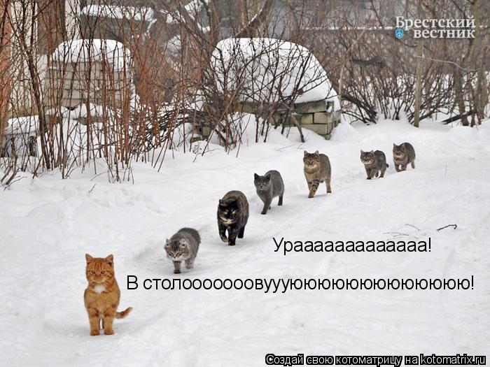 Урааааааааааааа! В столооооооовуууююююююююююююю!... Котоматрица: Урааааааааааааа! В столооооооовуууююююююююююююю!