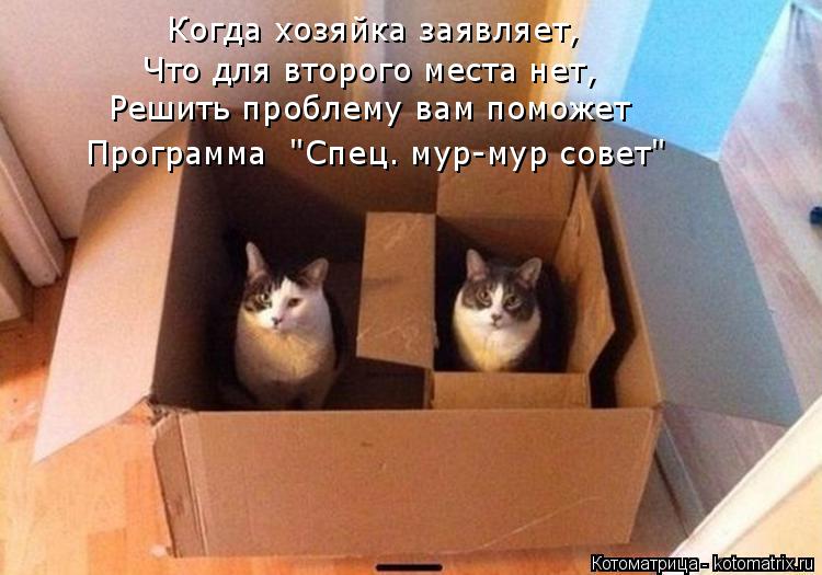 Когда хозяйка заявляет, Что для второго места нет, Решить проблему вам поможет Программа "Спец. мур-... Котоматрица: Когда хозяйка заявляет, Что для второго места нет, Решить проблему вам поможет Программа "Спец. мур-мур совет"
