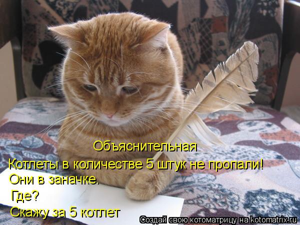 Объяснительная Котлеты в количестве 5 штук не пропали! Они в заначке. Где? Скажу за 5 котлет... Котоматрица: Объяснительная Котлеты в количестве 5 штук не пропали! Они в заначке. Где? Скажу за 5 котлет