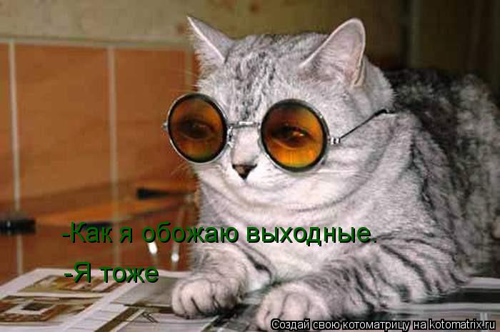 -Как я обожаю выходные. -Я тоже... Котоматрица: -Как я обожаю выходные. -Я тоже