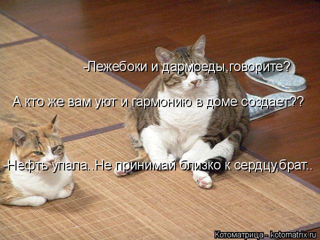 -Лежебоки и дармоеды,говорите? А кто же вам уют и гармонию в доме создает?? -Нефть упала..Не принимай... Котоматрица: -Лежебоки и дармоеды,говорите? А кто же вам уют и гармонию в доме создает?? -Нефть упала..Не принимай близко к сердцу,брат..