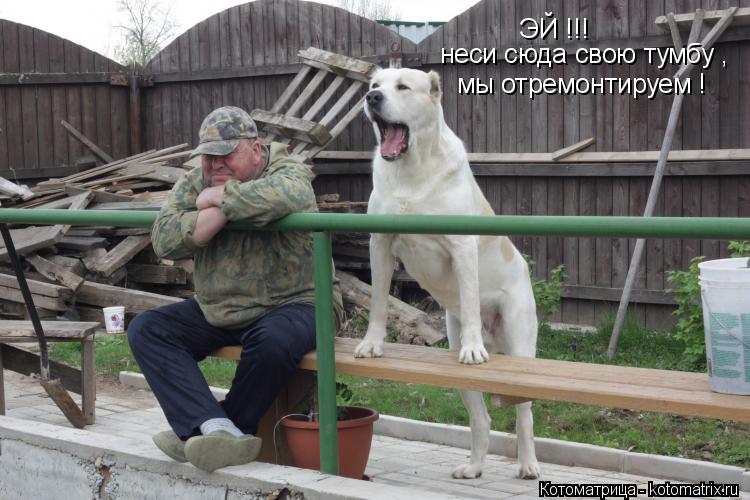 ЭЙ !!! неси сюда свою тумбу , мы отремонтируем !... Котоматрица: ЭЙ !!! неси сюда свою тумбу , мы отремонтируем !
