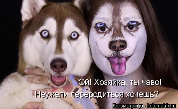 Ой! Хозяйка, ты чаво! Неужели переродиться хочешь?... Котоматрица: Ой! Хозяйка, ты чаво! Неужели переродиться хочешь?