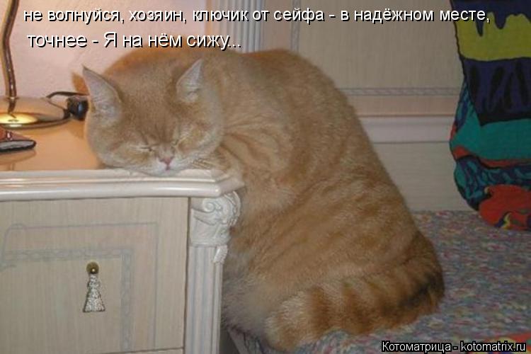 не волнуйся, хозяин, ключик от сейфа - в надёжном месте, точнее - Я на нём сижу...... Котоматрица: не волнуйся, хозяин, ключик от сейфа - в надёжном месте, точнее - Я на нём сижу...