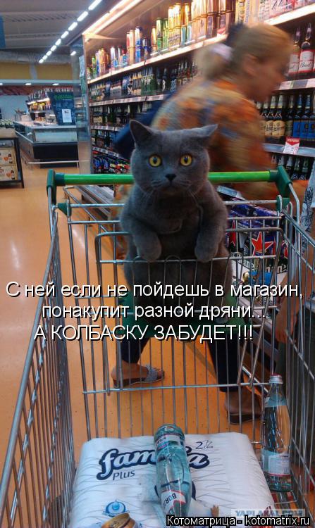 С ней если не пойдешь в магазин, понакупит разной дряни... А КОЛБАСКУ ЗАБУДЕТ!!!... Котоматрица: С ней если не пойдешь в магазин, понакупит разной дряни... А КОЛБАСКУ ЗАБУДЕТ!!!