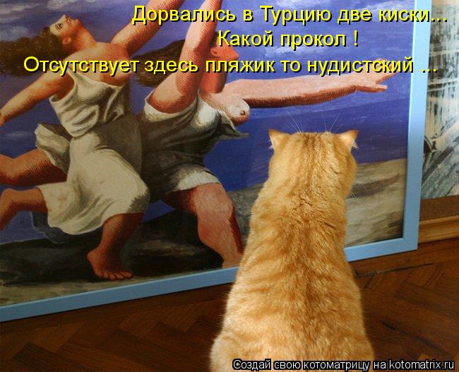 Дорвались в Турцию две киски... Какой прокол ! Отсутствует здесь пляжик то нудистский ...... Котоматрица: Дорвались в Турцию две киски... Какой прокол ! Отсутствует здесь пляжик то нудистский ...