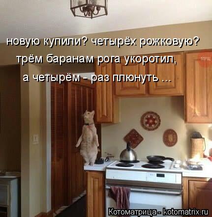 новую купили? четырёх рожковую? трём баранам рога укоротил, а четырём - раз плюнуть ...... Котоматрица: новую купили? четырёх рожковую? трём баранам рога укоротил, а четырём - раз плюнуть ...