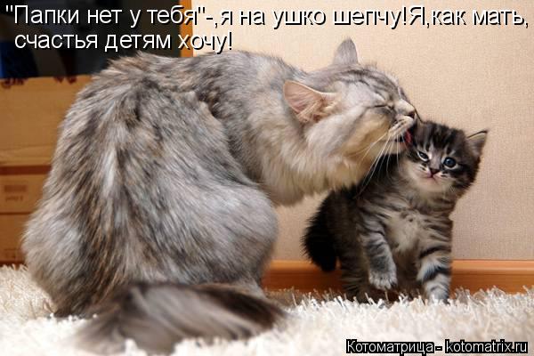 "Папки нет у тебя"-,я на ушко шепчу!Я,как мать, счастья детям хочу!... Котоматрица: "Папки нет у тебя"-,я на ушко шепчу!Я,как мать, счастья детям хочу!