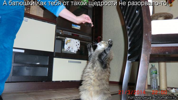 А батюшки!Как тебя от такой щедрости не разорвало-то!... Котоматрица: А батюшки!Как тебя от такой щедрости не разорвало-то!