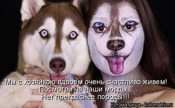 Мы с хозяйкою вдвоем очень счастливо живем! Посмотри на наши морды..... Нет прекраснее породы!!!... Котоматрица: Мы с хозяйкою вдвоем очень счастливо живем! Посмотри на наши морды..... Нет прекраснее породы!!!