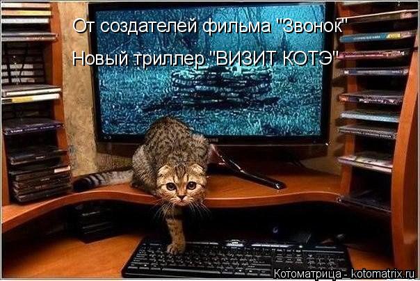 Новый триллер "ВИЗИТ КОТЭ" От создателей фильма "Звонок"... Котоматрица: Новый триллер "ВИЗИТ КОТЭ" От создателей фильма "Звонок"
