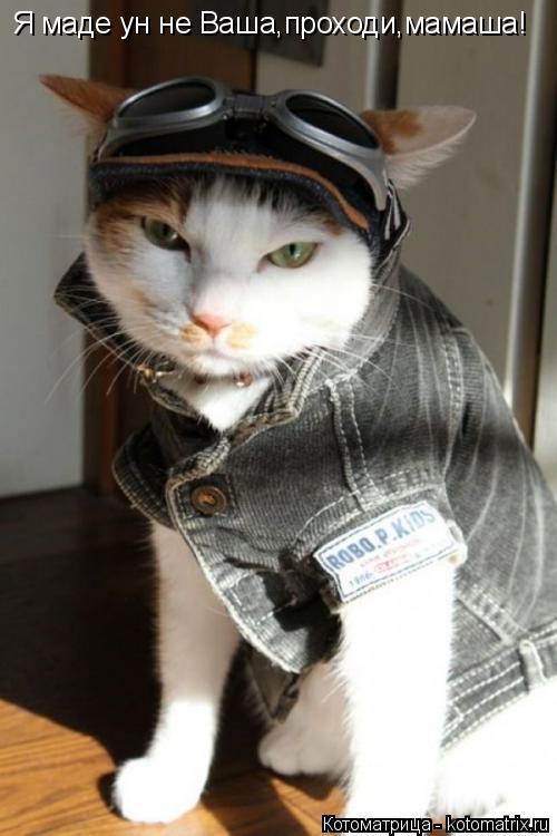 Я маде ун не Ваша,проходи,мамаша!... Котоматрица: Я маде ун не Ваша,проходи,мамаша!