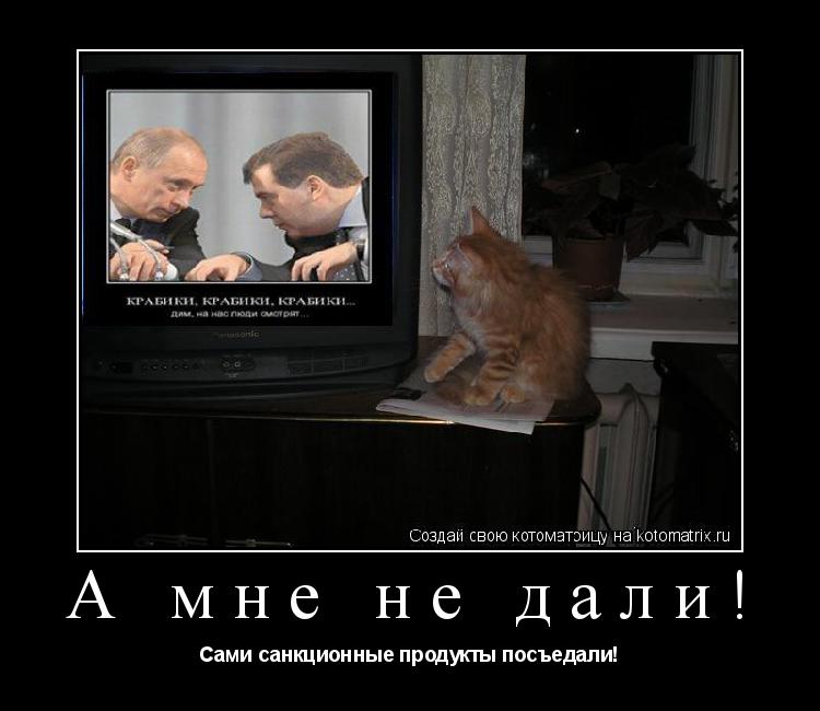 А мне не дали! Сами санкционные продукты посъедали!... Котоматрица: А мне не дали! Сами санкционные продукты посъедали!