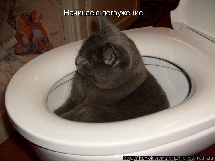 Начинаею погружение...... Котоматрица: Начинаею погружение...