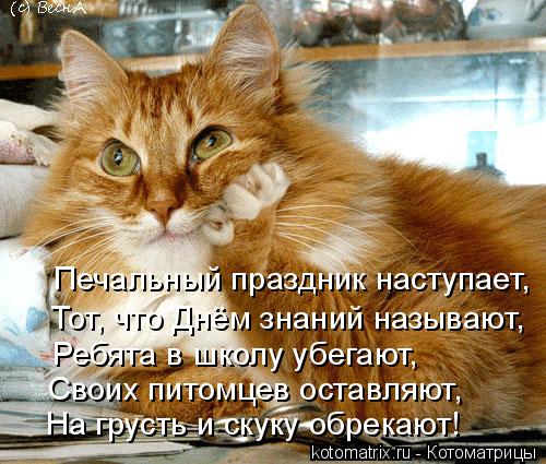 Печальный праздник наступает, Тот, что Днём знаний называют, Ребята в школу убегают, Своих питом... Котоматрица: Печальный праздник наступает, Тот, что Днём знаний называют, Ребята в школу убегают, Своих питомцев оставляют, На грусть и скуку обрекаю
