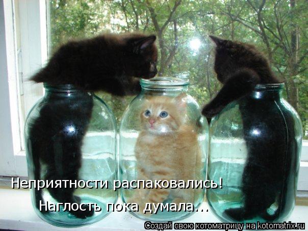 Наглость пока думала... Неприятности распаковались!... Котоматрица: Наглость пока думала... Неприятности распаковались!