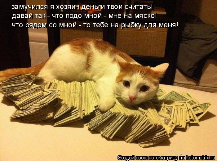 Котоматрица: замучился я хозяин деньги твои считать! давай так - что подо мной - мне на мяско! что рядом со мной - то тебе на рыбку для меня!