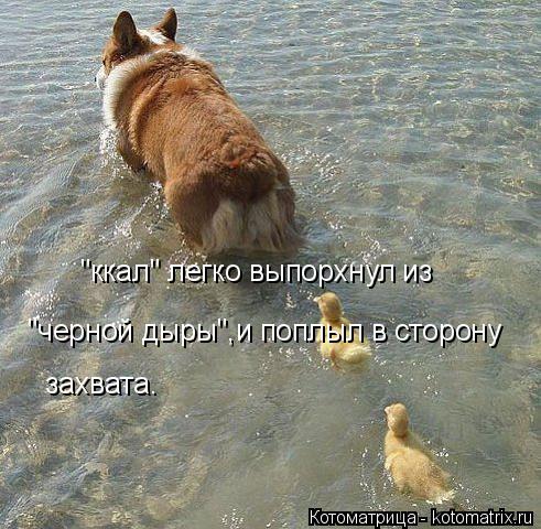 "ккал" легко выпорхнул из "черной дыры",и поплыл в сторону захвата.... Котоматрица: "ккал" легко выпорхнул из "черной дыры",и поплыл в сторону захвата.