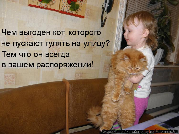 Чем выгоден кот, которого не пускают гулять на улицу? Тем что он всегда в вашем распоряжении!... Котоматрица: Чем выгоден кот, которого не пускают гулять на улицу? Тем что он всегда в вашем распоряжении!