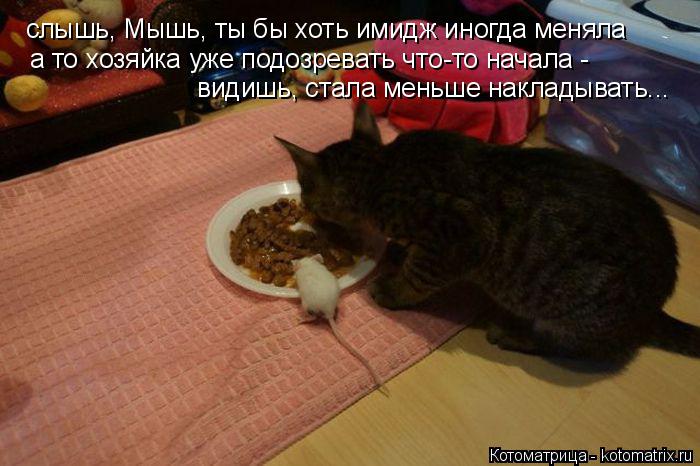 Котоматрица: слышь, Мышь, ты бы хоть имидж иногда меняла а то хозяйка уже подозревать что-то начала - видишь, стала меньше накладывать...