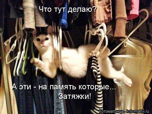 Что тут делаю? А эти - на память которые... Затяжки!... Котоматрица: Что тут делаю? А эти - на память которые... Затяжки!