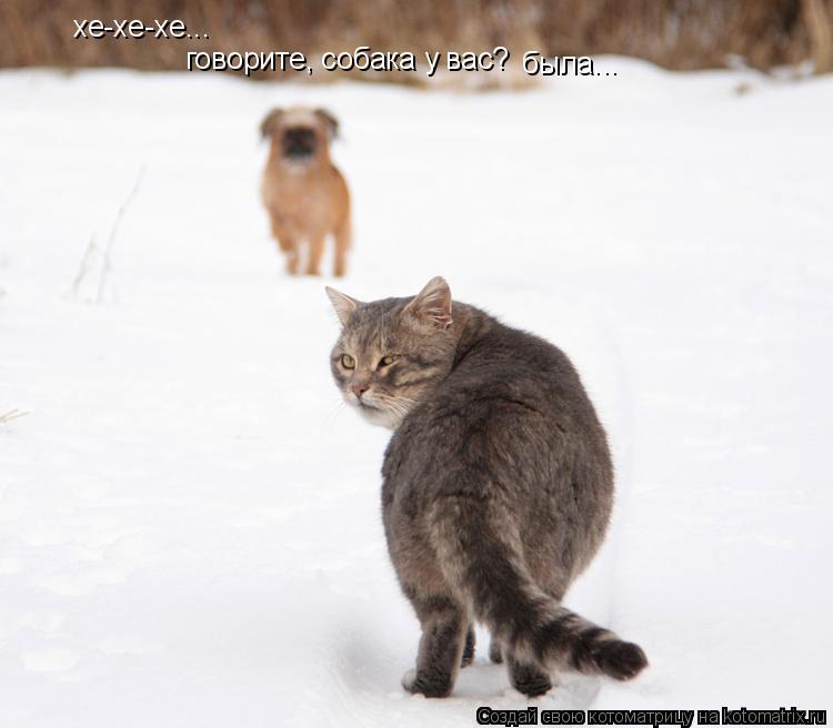 хе-хе-хе... говорите, собака у вас? была...... Котоматрица: хе-хе-хе... говорите, собака у вас? была...