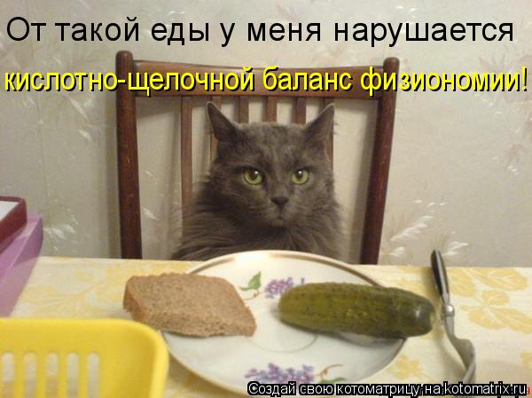 От такой еды у меня нарушается кислотно-щелочной баланс физиономии!... Котоматрица: От такой еды у меня нарушается кислотно-щелочной баланс физиономии!
