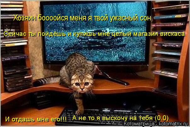 Хозяин боооойся меня я твой ужасный сон Сейчас ты пойдёшь и купишь мне целый магазин вискаса И отдашь... Котоматрица: Хозяин боооойся меня я твой ужасный сон Сейчас ты пойдёшь и купишь мне целый магазин вискаса И отдашь мне его!!! А не то я выскочу на тебя (0.0)
