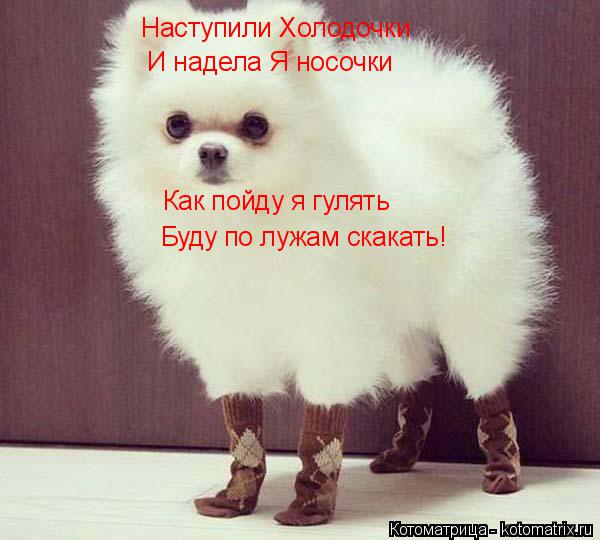 Наступили Холодочки И надела Я носочки Буду по лужам скакать! Как пойду я гулять... Котоматрица: Наступили Холодочки И надела Я носочки Буду по лужам скакать! Как пойду я гулять