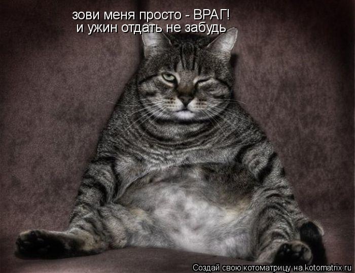 зови меня просто - ВРАГ! и ужин отдать не забудь... Котоматрица: зови меня просто - ВРАГ! и ужин отдать не забудь