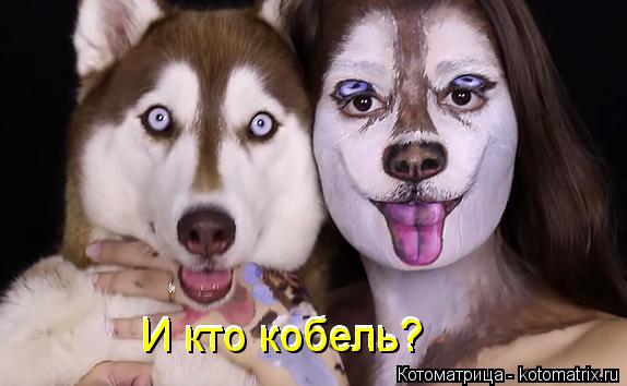 И кто кобель? И кто кобель?... Котоматрица: И кто кобель? И кто кобель?