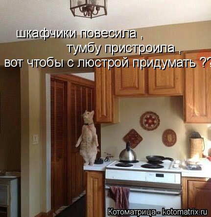 шкафчики повесила , тумбу пристроила , вот чтобы с люстрой придумать ???... Котоматрица: шкафчики повесила , тумбу пристроила , вот чтобы с люстрой придумать ???