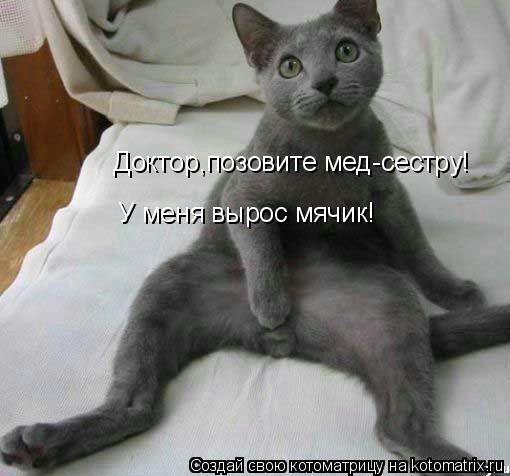 Доктор,позовите мед-сестру! У меня вырос мячик!... Котоматрица: Доктор,позовите мед-сестру! У меня вырос мячик!