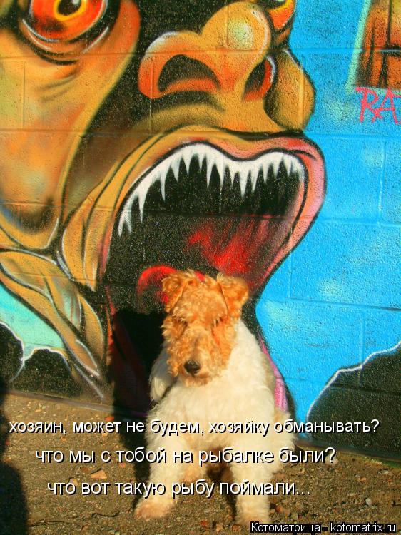 хозяин, может не будем, хозяйку обманывать? что мы с тобой на рыбалке были? что вот такую рыбу поймал... Котоматрица: хозяин, может не будем, хозяйку обманывать? что мы с тобой на рыбалке были? что вот такую рыбу поймали...